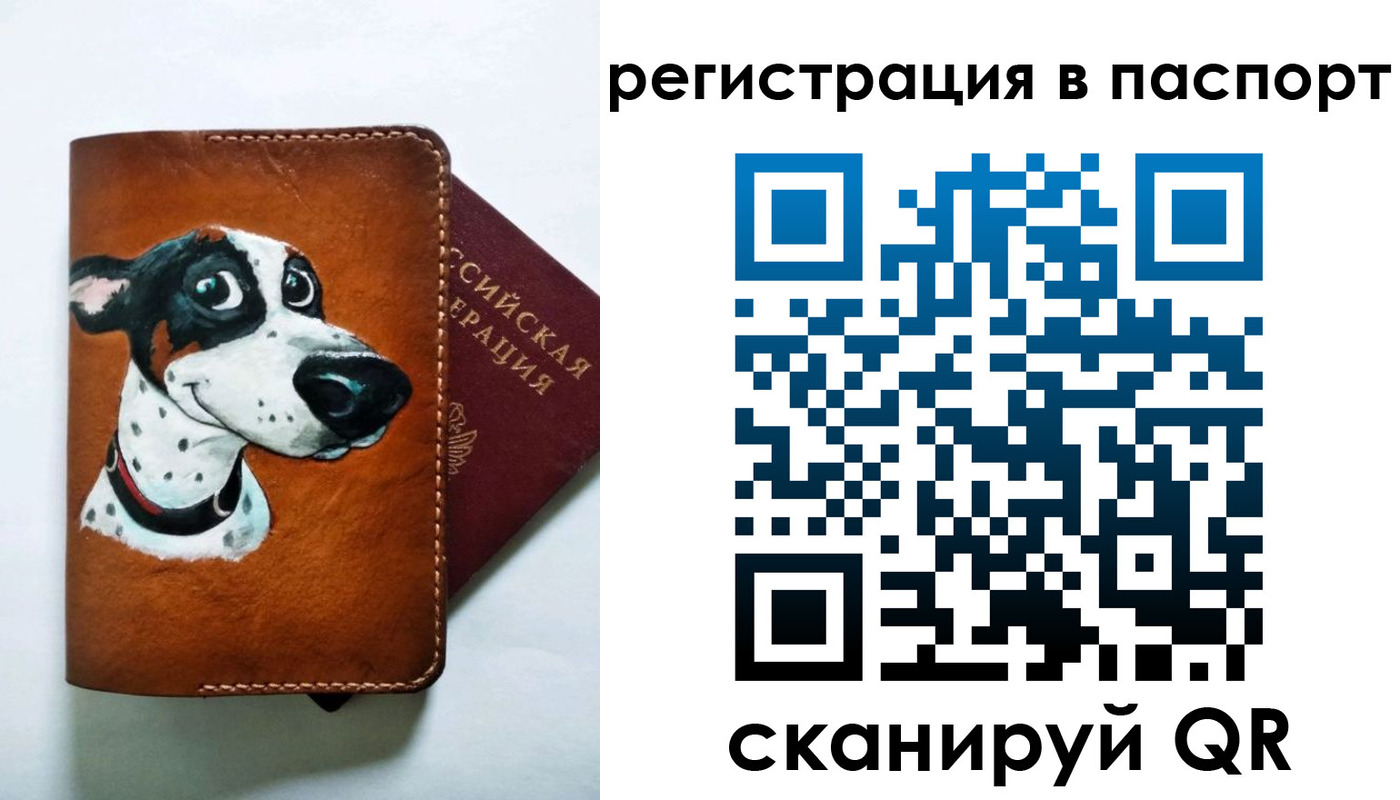 прописка штамп в Чистополье